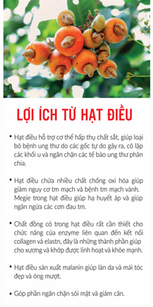 HẠT ĐIỀU RANG MUỐI ĐỨC LIÊM 